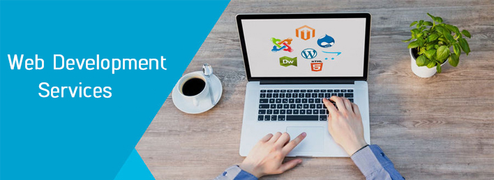 Web designing and development services